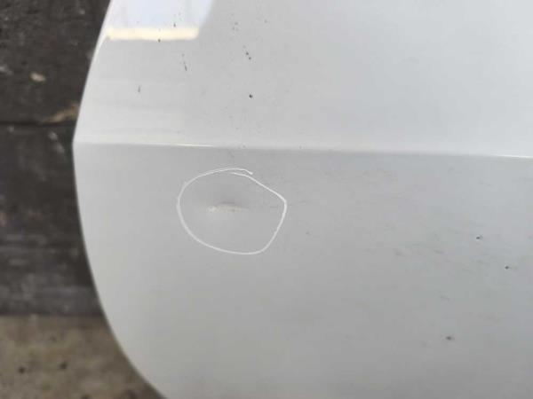 PORTE AVANT GAUCHE OCTAVIA 2013-2020 - Vue 2